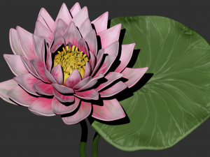 lotus flower high poly and 3d print Modèle 3D