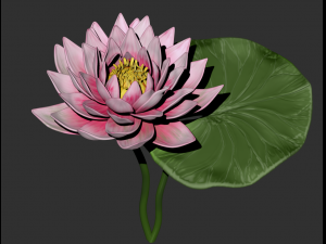 lotus flower high poly and 3d print Modèle 3D