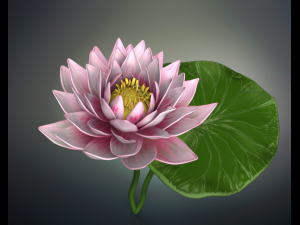 lotus flower high poly and 3d print Modèle 3D