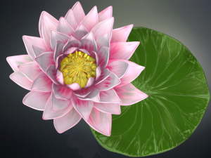 lotus flower high poly and 3d print Modèle 3D
