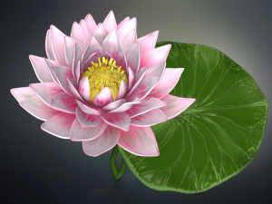 lotus flower high poly and 3d print Modèle 3D