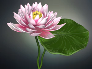 lotus flower high poly and 3d print 3D Model