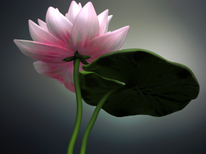 lotus flower high poly and 3d print Modèle 3D