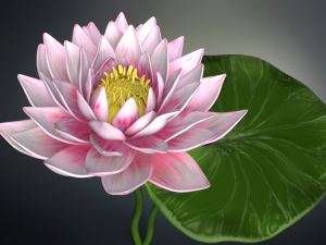 lotus flower high poly and 3d print Modèle 3D