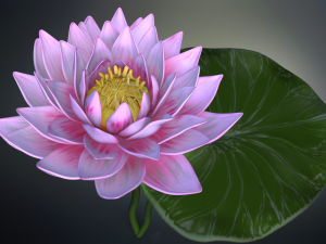 lotus flower high poly and 3d print Modèle 3D