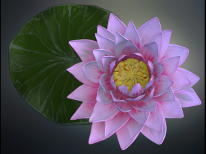 lotus flower high poly and 3d print Modèle 3D