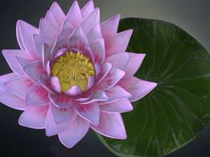 lotus flower high poly and 3d print Modèle 3D