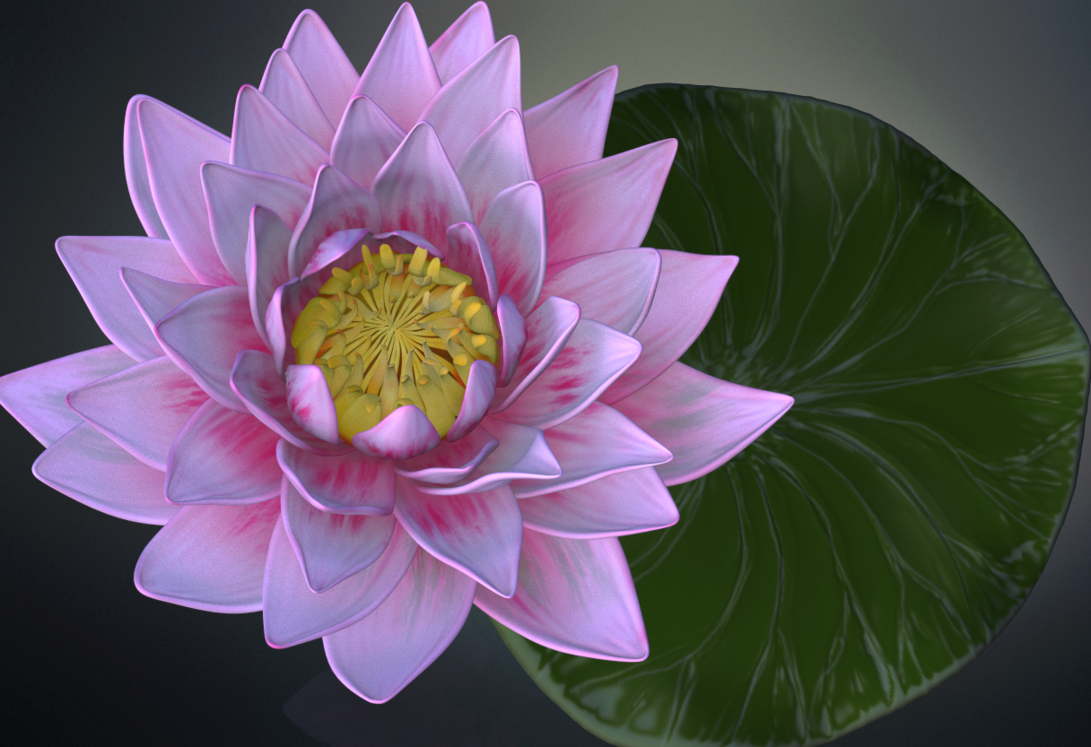 Lotus Flower High Poly 3d Model In Flowers 3dexport