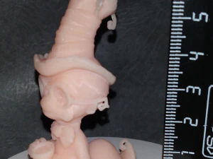 Desenho animado de verme stl Modelo de Impressão 3D