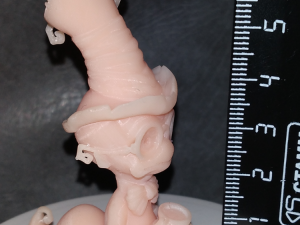 Worm cartoon stl Modèles 3D en vedette