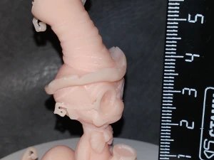 Desenho animado de verme stl Modelo de Impressão 3D
