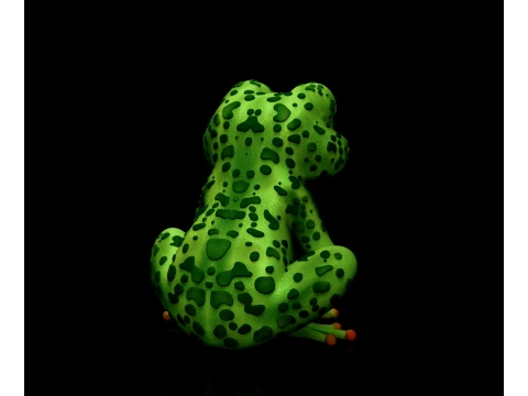 Frog for 3d printing 3D Print Model