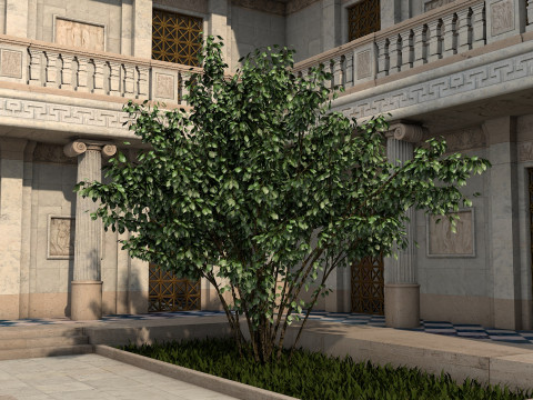 Greco-Roman palace Model 3D
