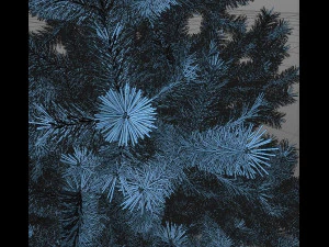 paquet de No&euml;l Modèle 3D