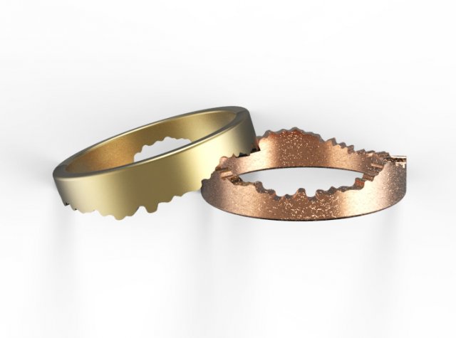 ring Modello di stampa 3D .c4d .max .obj .3ds .fbx .stl .blend 