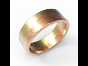 ring Modello di stampa 3D