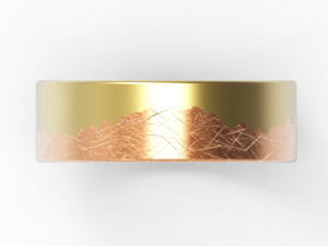 ring Modello di stampa 3D