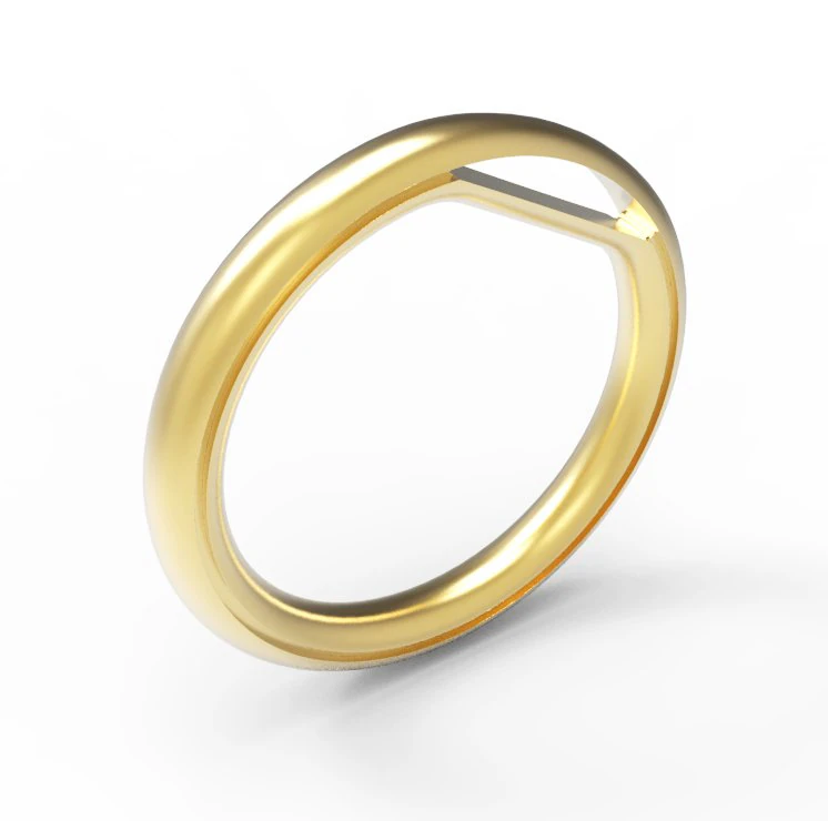 ring 3D Print Model .c4d .max .obj .3ds .fbx .stl .blend 