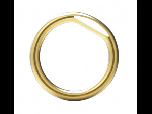 ring Modelo de Impressão 3D