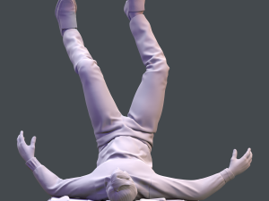 Fall 3D प्रिंट मॉडल
