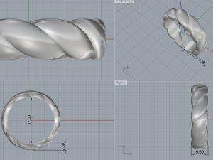 ring 3D Model