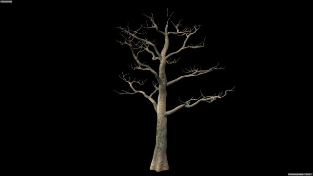 tree 3D Модель .c4d .max .obj .3ds .fbx .stl .blend 