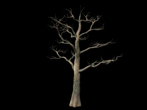 tree 3D Model