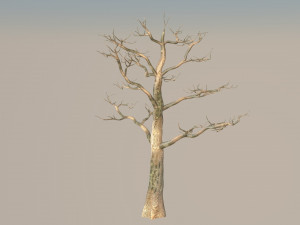 tree 3D Модель