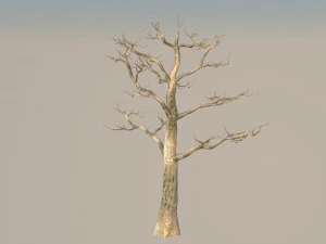 &aacute;rvore Modelo 3D