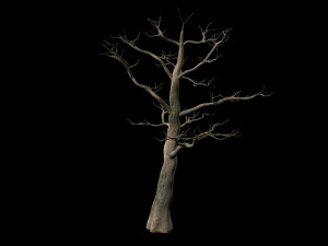 tree 3D Модель