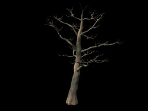 &aacute;rvore Modelo 3D