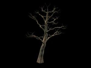 &aacute;rvore Modelo 3D