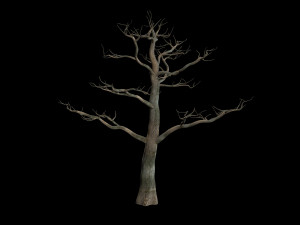 tree 3D Модель