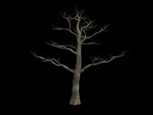 &aacute;rvore Modelo 3D