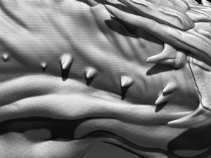 smaug 3D-Druckmodell