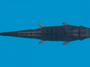 mosasaurio 3D Model