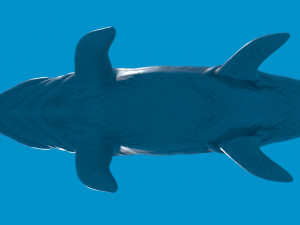 mosasaurio 3D Model