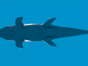 mosasaurio 3D Model