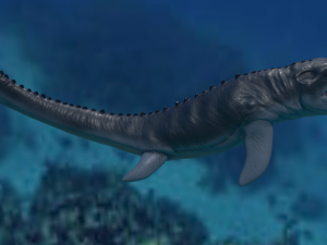 mosasaurio 3D Model