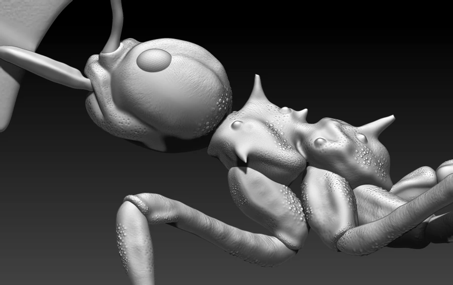 red ant 3D Print Model .c4d .max .obj .3ds .fbx .stl .blend 