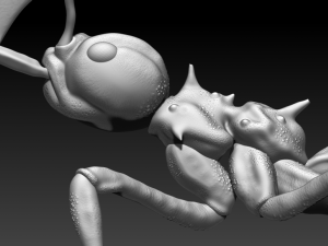 red ant 3Dプリントモデル