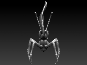 red ant 3D Baskı Modeli