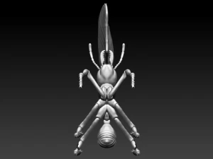red ant 3D Print Model