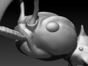 red ant 3D Print Model