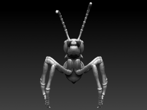 red ant 3D Baskı Modeli
