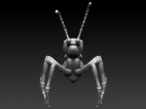 red ant 3D Print Model