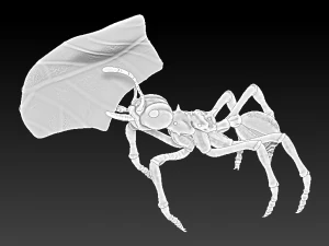 red ant 3D Print Model