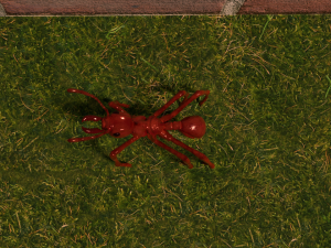 redant 3D-Modell
