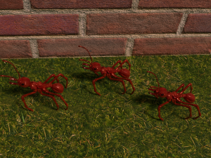 redant 3D-Modell