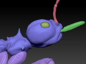 redant 3D-Modell